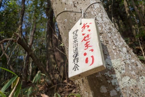 関ジャニ 丸山隆平 自分の家族が欲しいなぁ 年5月31日 エキサイトニュース