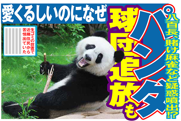 チョコプラに続け 動物たちの 悪い顔選手権 やってみた 21年4月12日 エキサイトニュース