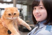 『いきもの係』のぶさかわニャンコ、ティティさんに密着