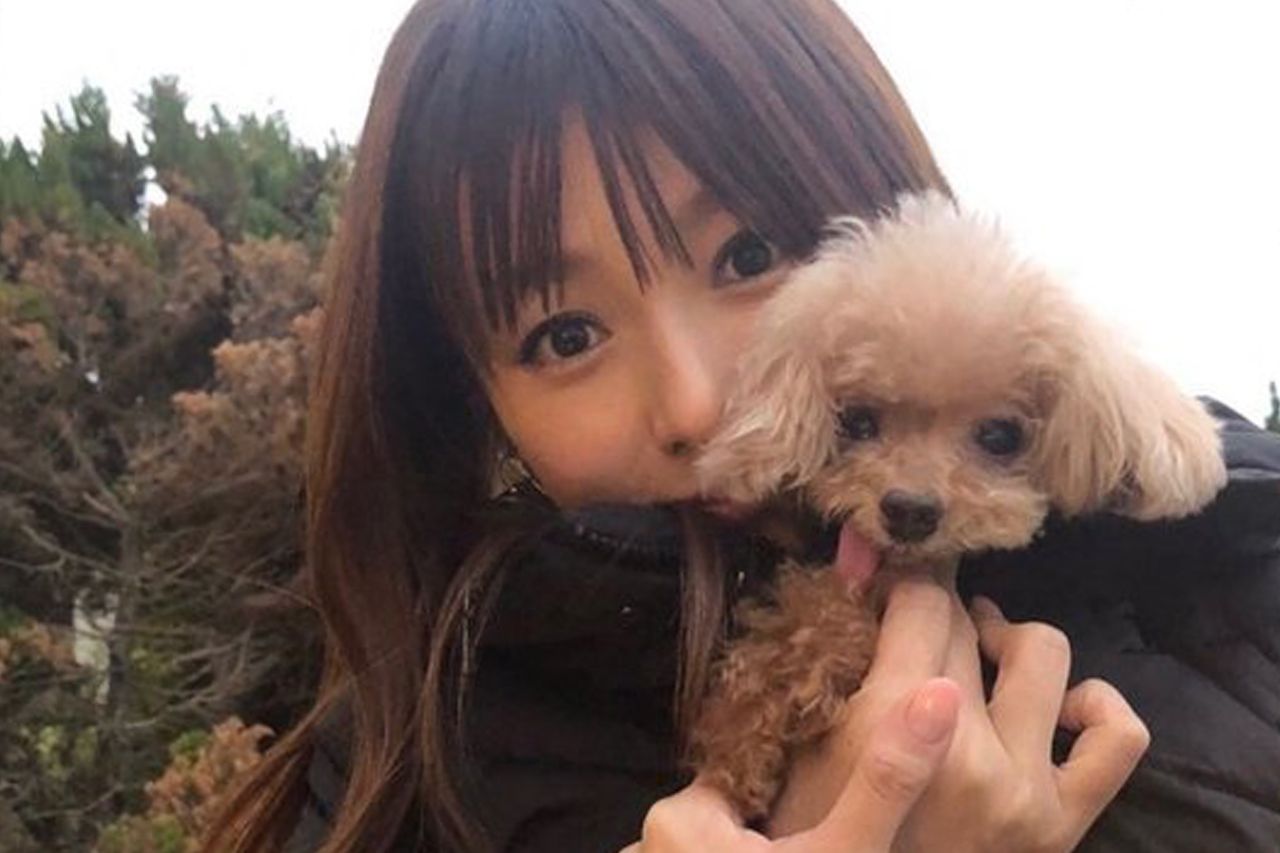 深田恭子 手越祐也 愛犬が きょうだい 同士だった 真相を直撃 年10月21日 エキサイトニュース