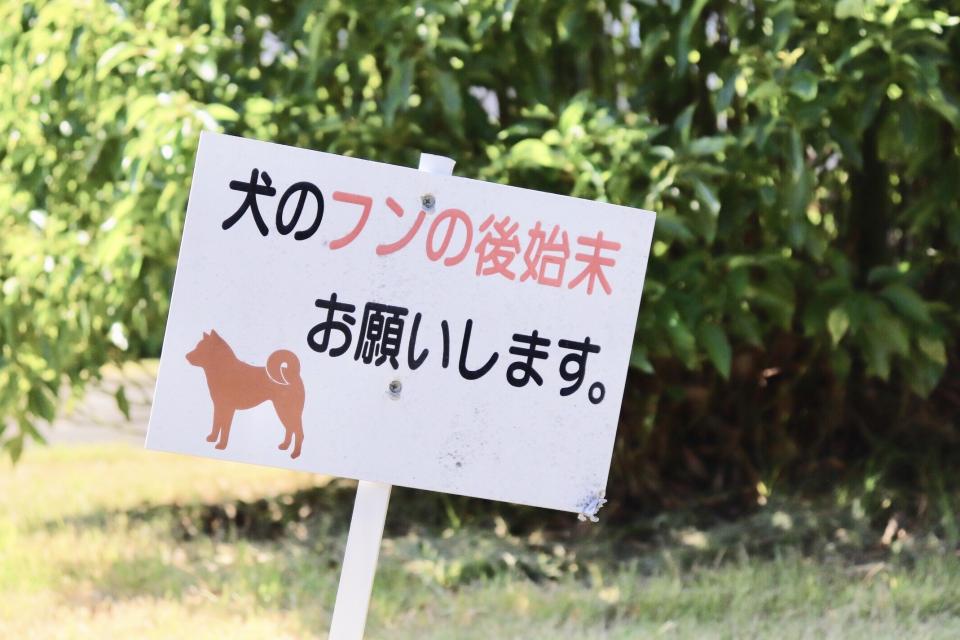 散歩のたび排泄物をまき散らす マナー守れない飼い主のせいで 犬の糞地獄 になった町内 愛知県 40代女性 年2月1日 エキサイトニュース