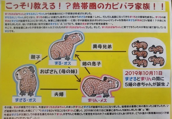 Dv疑惑 育児放棄 草津熱帯圏のカピバラ解説が想像以上にハードだった 年2月3日 エキサイトニュース