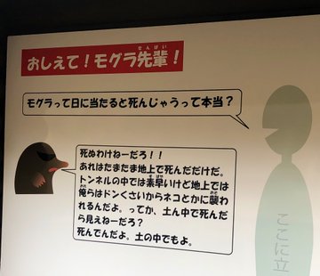 死ぬわけねーだろ 毒舌回答で人気キャラに 多摩動物公園 モグラ先輩 考案者を直撃 年2月4日 エキサイトニュース 2 3