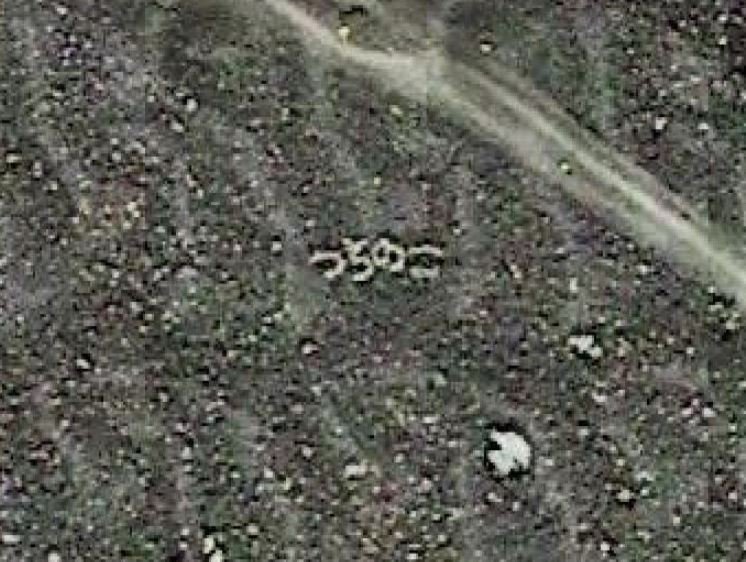 北海道の山奥で発見された つちのこ が話題 なぜそこに 目撃者に詳しい話を聞いた 年3月14日 エキサイトニュース