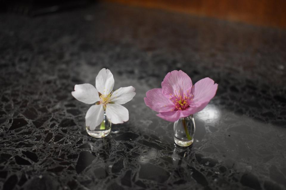水滴に花を生けたみたい 桜の花にもぴったりな ミニチュア一輪挿し が可憐すぎる 年4月12日 エキサイトニュース