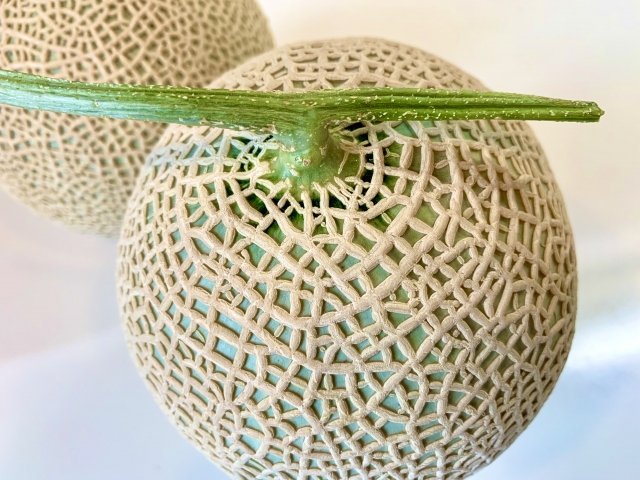 メロンに網目模様ができる理由 ご存じですか 年7月14日 エキサイトニュース