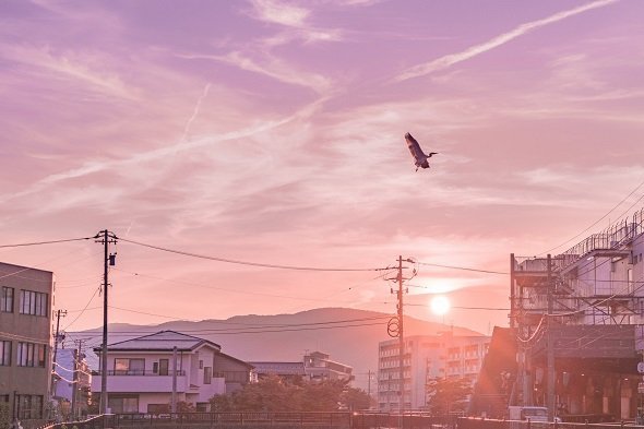 いつもの道が 特別になった まるでアニメのワンシーン 夕焼けに染まった福井の町並みに反響 年8月31日 エキサイトニュース