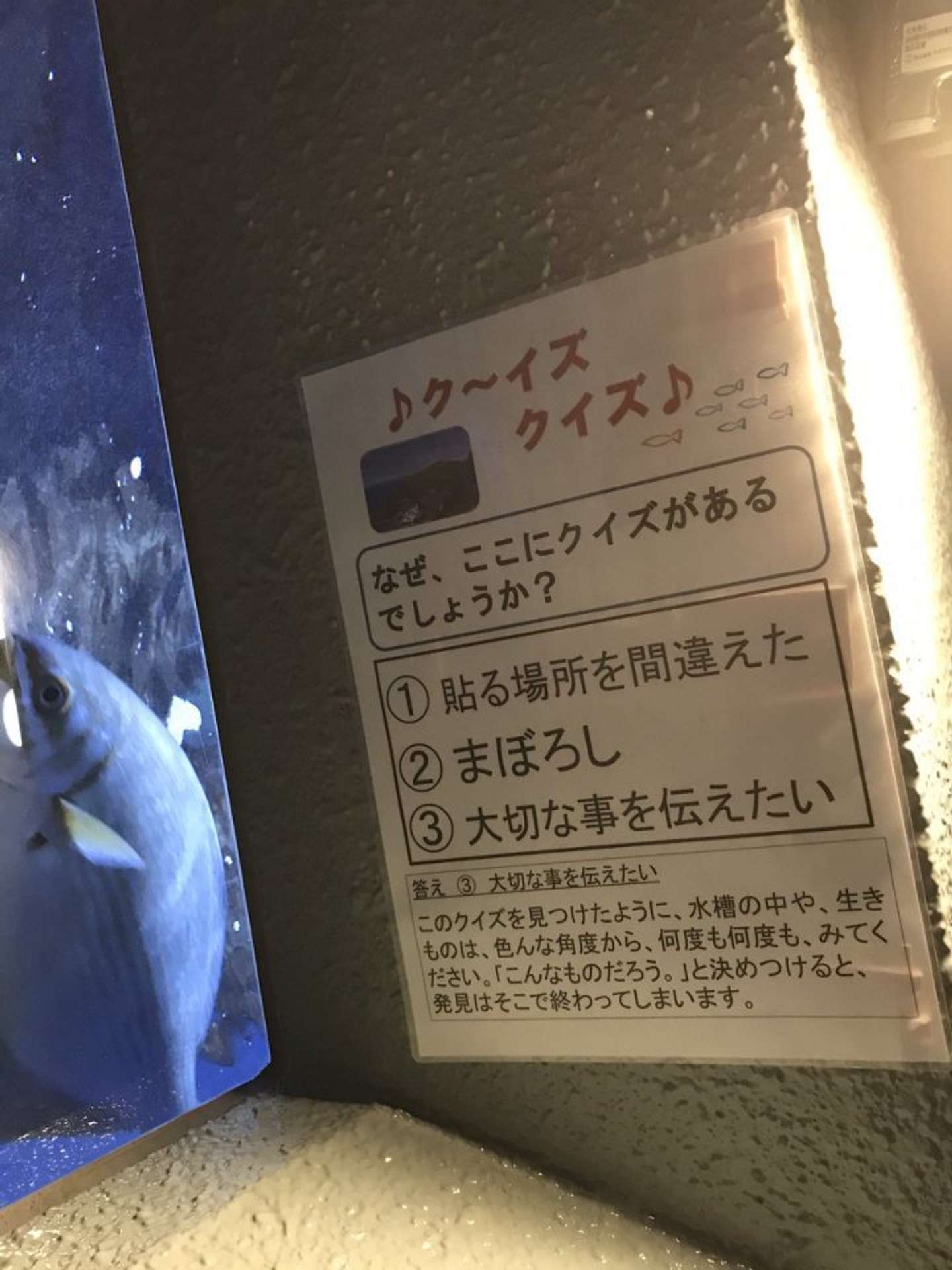 なぜ ここにクイズがあるでしょうか 水族館の端っこに貼られた謎のクイズに反響 深い センスある 21年4月14日 エキサイトニュース