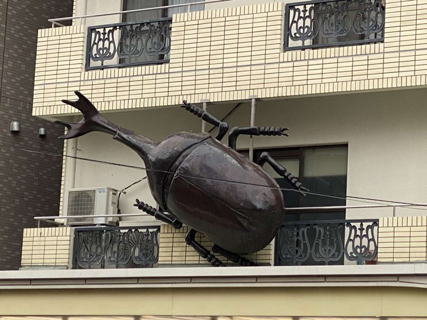 誰が何のために 浅草のマンションに張り付く 超巨大カブトムシの謎を追う 21年5月26日 エキサイトニュース