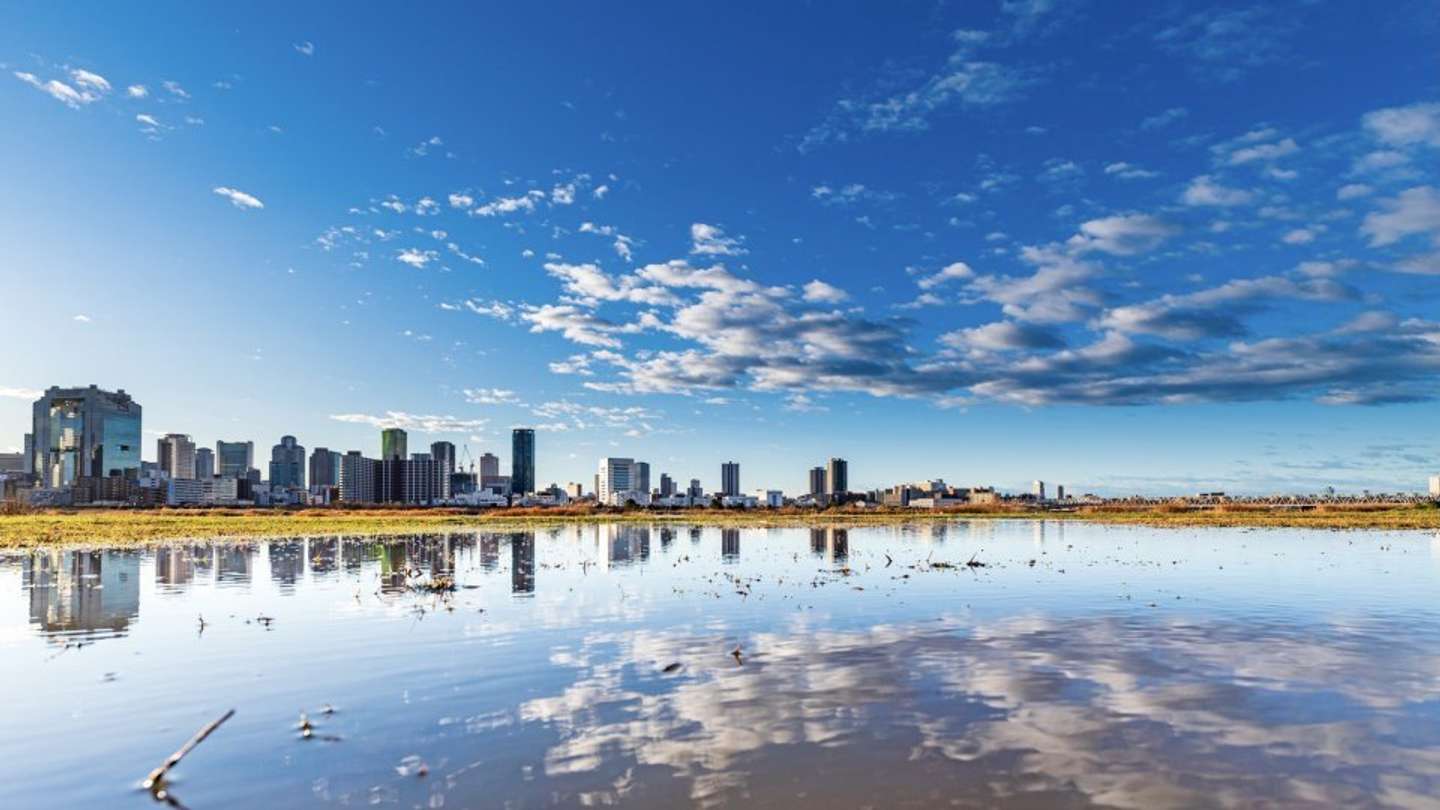 雨上りの河川敷 水たまりも真っ青に 美しすぎるリフレクションに 目を奪われました 21年6月6日 エキサイトニュース