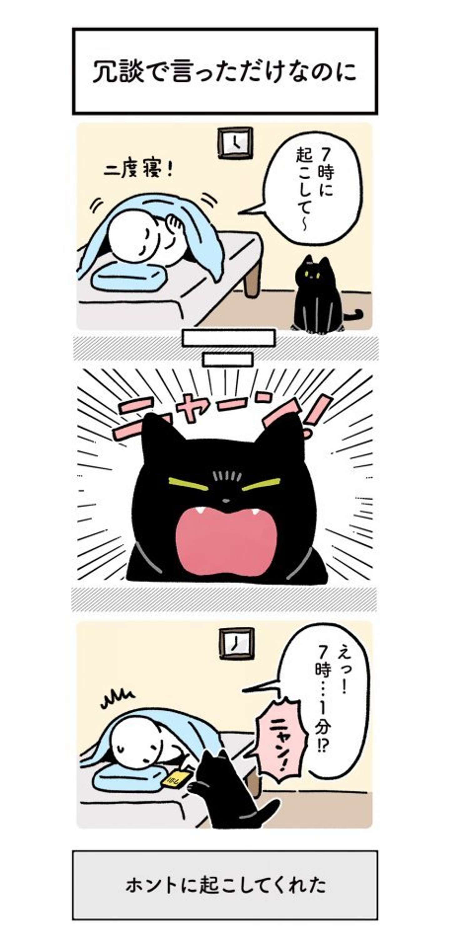 飼い主 7時に起こして 猫 ニャーン 人の言葉がわかってるの 賢すぎるニャンコに眠気ふっとぶ 21年11月17日 エキサイトニュース