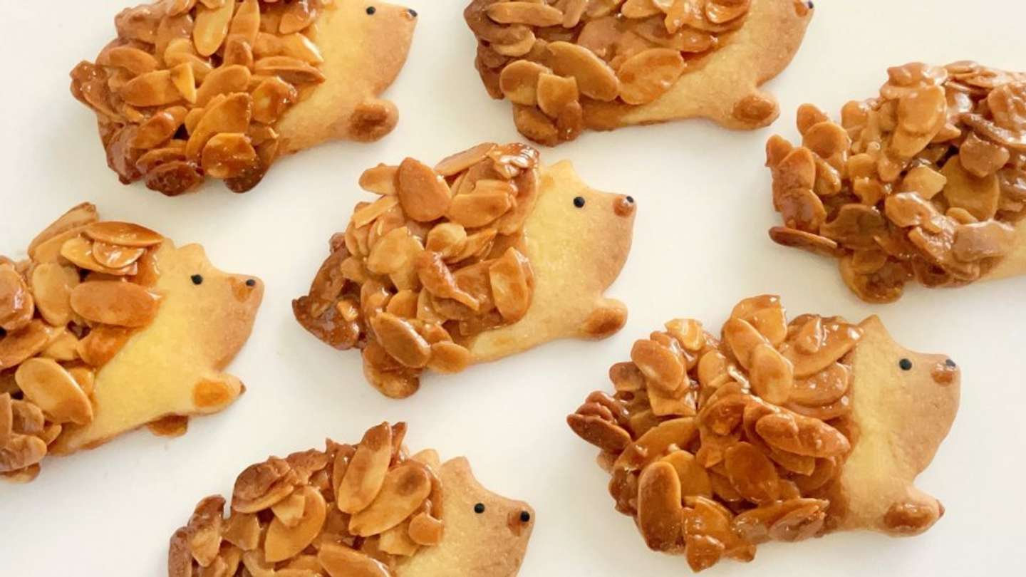 美味しそうだけど かじれないよ っ 針がアーモンドになった はりねずみフロランタン が可愛すぎる件 22年7月日 エキサイトニュース