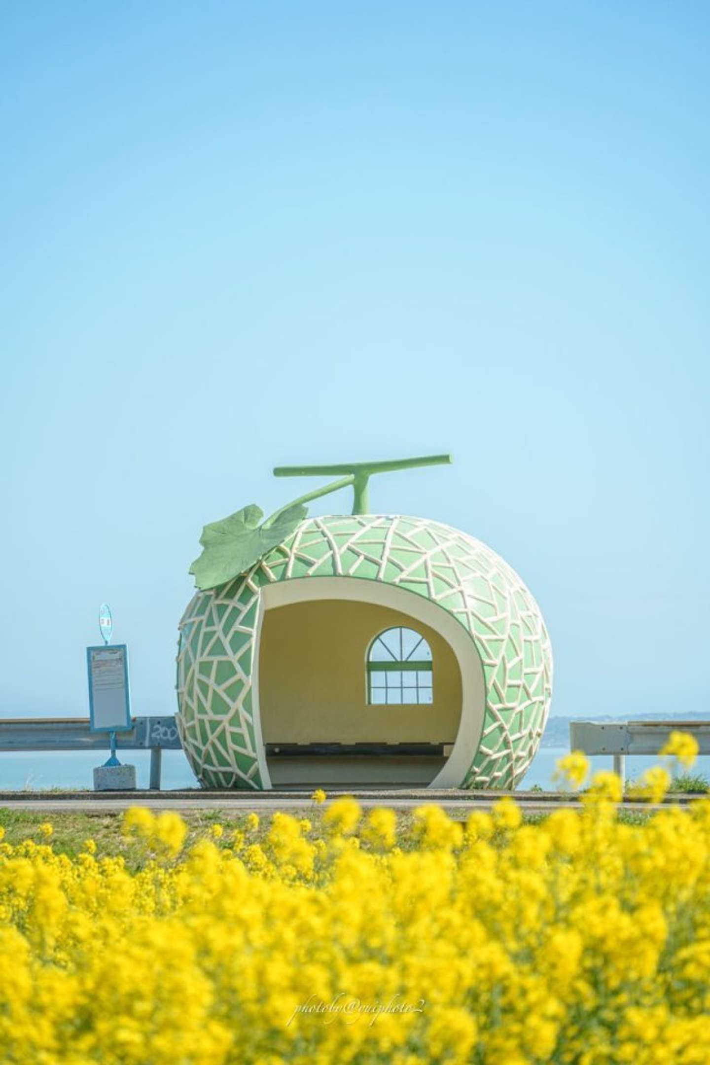 なんてメルヘンな光景なんだ 菜の花畑に埋もれる フルーツバス停 がメッチャかわいい 22年3月17日 エキサイトニュース