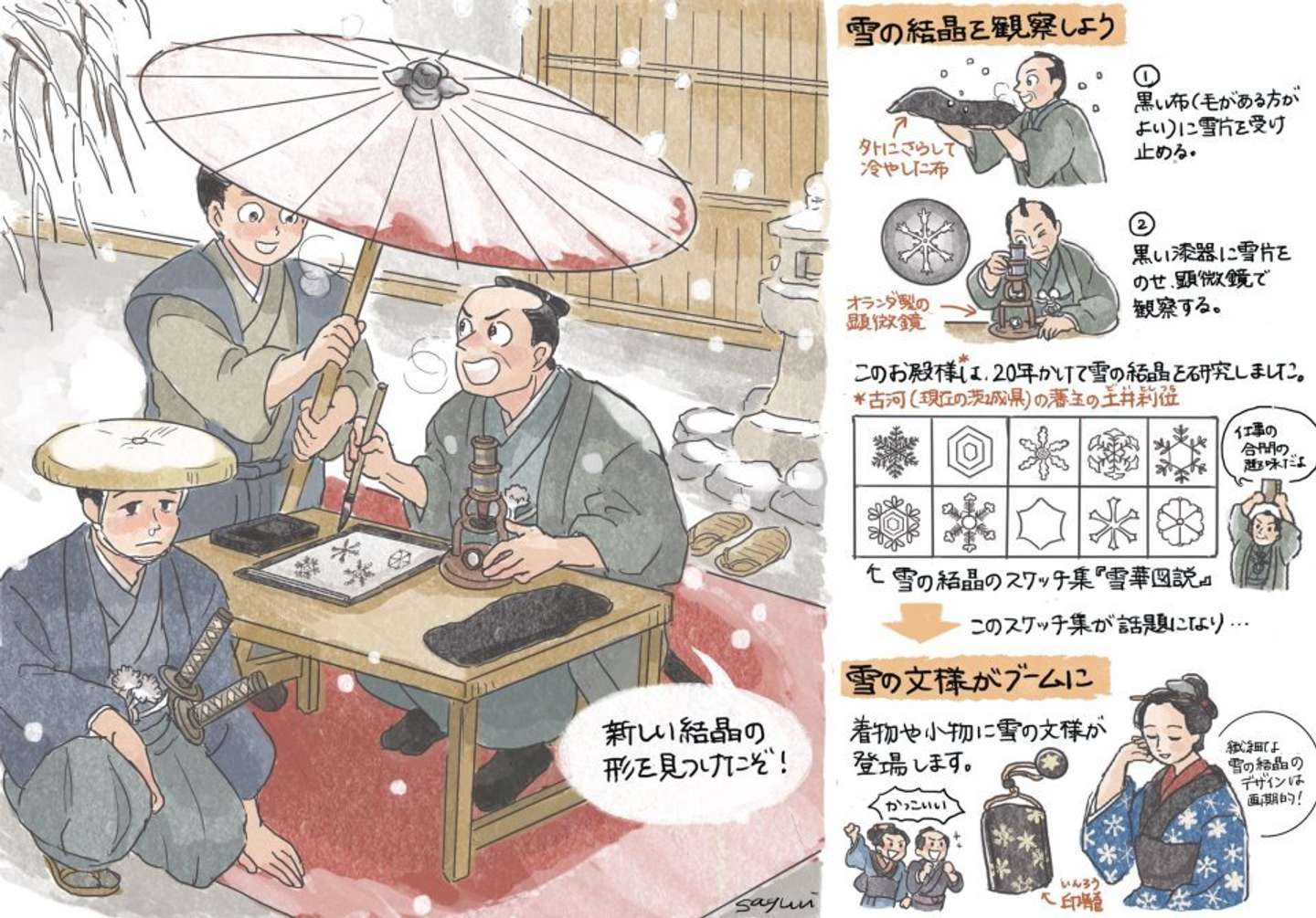 結晶をスケッチし続け年 江戸時代 雪 に超どハマリしたお殿様がいた 22年1月7日 エキサイトニュース