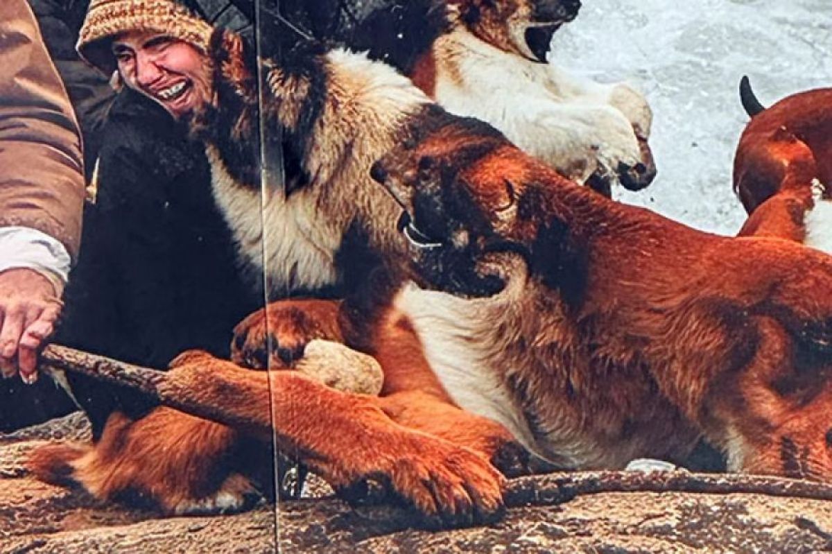 画像が削除されました