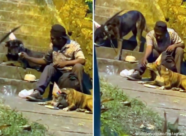 ホームレスの男性がなけなしのお金でケーキを買い 犬の誕生日を祝う 22年1月17日 エキサイトニュース ホームレスの男性がなけなしのお金でケーキを買い 犬の誕生日を祝う 22年1月17日 エキサイトニュース
