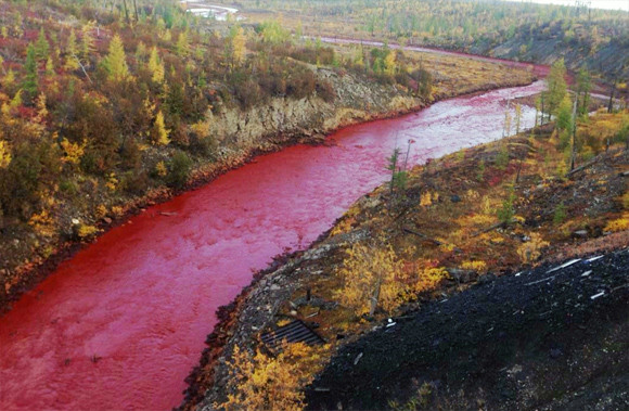 ロシア シベリアの川が突如血の赤に染まり住民パニック 16年9月10日 エキサイトニュース
