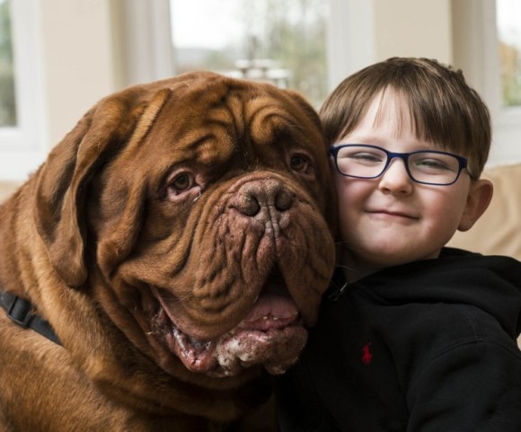 少年の右側から離れようとしない犬 そこには両親も気が付かなかった驚きの事実が隠されていた 16年10月5日 エキサイトニュース