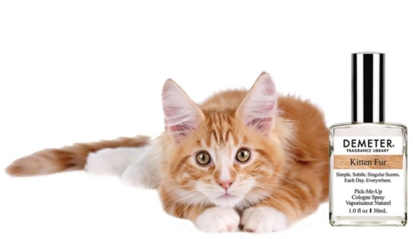 おい 人間なのに子猫のニオイがするぞ 子猫の首の後ろ の香りを再現した香水が新発売 17年5月22日 エキサイトニュース
