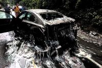 これはXファイル案件ですか？高速道路がスライムのような粘液とうごめく物体に覆われた。その正体は？（アメリカ）