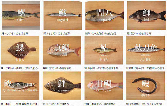 あらゆる魚 さばきます サバやアジからスッポン 貝まで 魚のさばき方が網羅された 日本さばけるプロジェクト 17年12月6日 エキサイトニュース