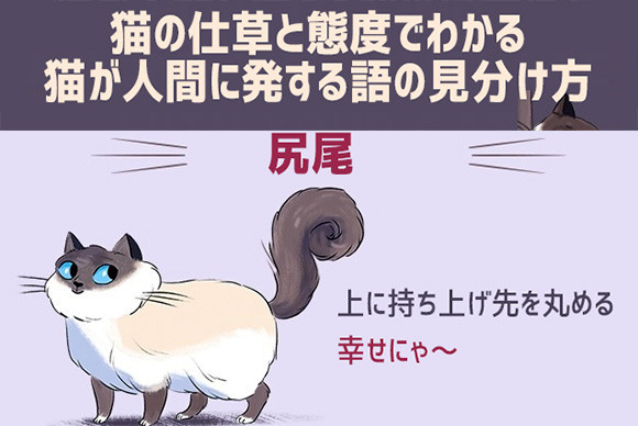 猫は雄弁 尻尾や仕草 鳴き声で多くを語る 猫語 を理解するためのイラスト 17年12月15日 エキサイトニュース