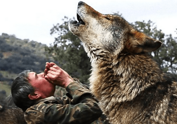 狼に育てられた男 人間としての暮らしに失望している スペイン 18年4月9日 エキサイトニュース