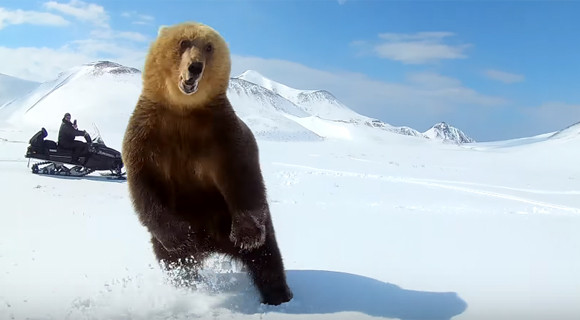 クマに襲われた スノーモービルでクマを執拗に追い回していたグループのひどい行動が物議をかもす ロシア 18年4月15日 エキサイトニュース