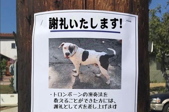 謝礼として犬を差し上げます だとぅ よく見るといろいろおかしい シニカルな偽の広告 ポスター集 18年7月27日 エキサイトニュース