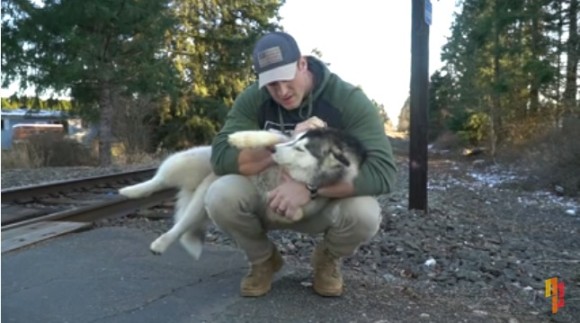 路上をさまよっていたハスキー犬に恋した男性 自分で飼う覚悟で連れ帰り飼い主探しを開始 その結末は アメリカ 19年9月24日 エキサイトニュース