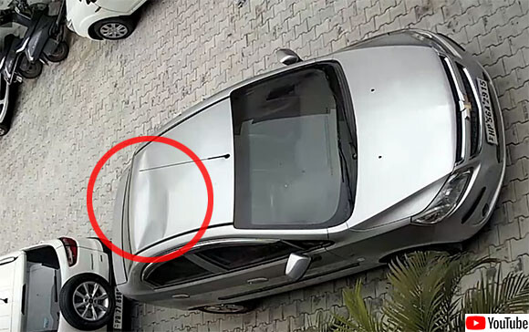 駐車していた車の屋根がへこむというアクシデント 犯人は意外な人物 っていうか動物だった インド 年3月5日 エキサイトニュース