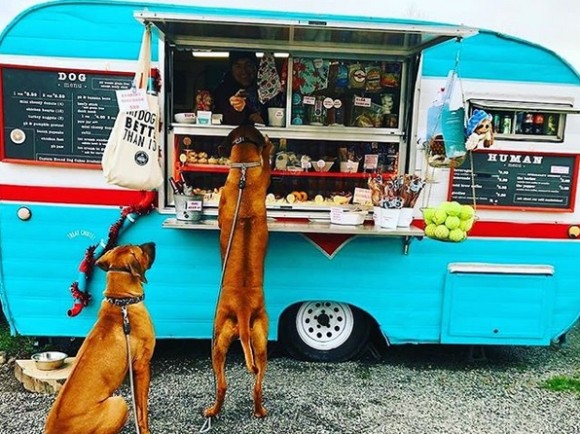 犬専用の移動販売車が登場 散歩中の犬たちに手作りの犬用おやつを アメリカ 年2月17日 エキサイトニュース