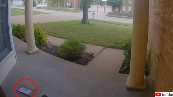 郵便物を盗もうとしていたのは世界最小の泥棒だった 監視カメラでその正体が明らかに アメリカ 年7月24日 エキサイトニュース