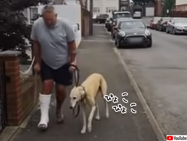 犬ってやつぁ 涙 飼い主が骨折後 足を引きずって歩くようになった犬 飼い主の痛みに共感していた 21年1月21日 エキサイトニュース