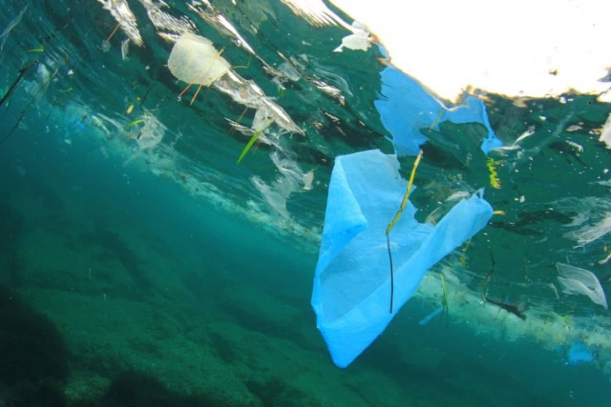 お湯で分解できる生分解性プラスチックが開発される 21年4月27日 エキサイトニュース