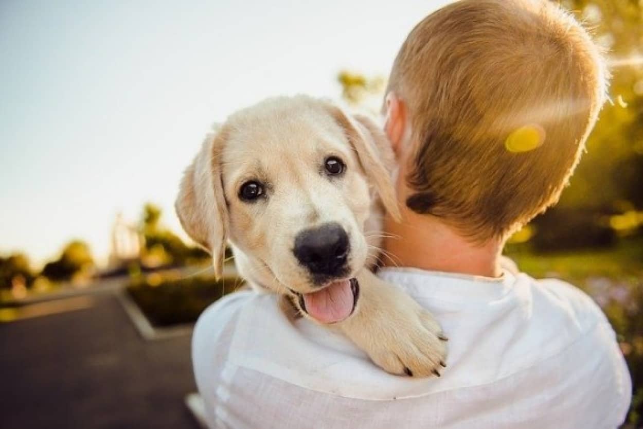 見ているだけで幸せホルモン急上昇 人間と犬の友情が分かる12の写真 21年7月3日 エキサイトニュース