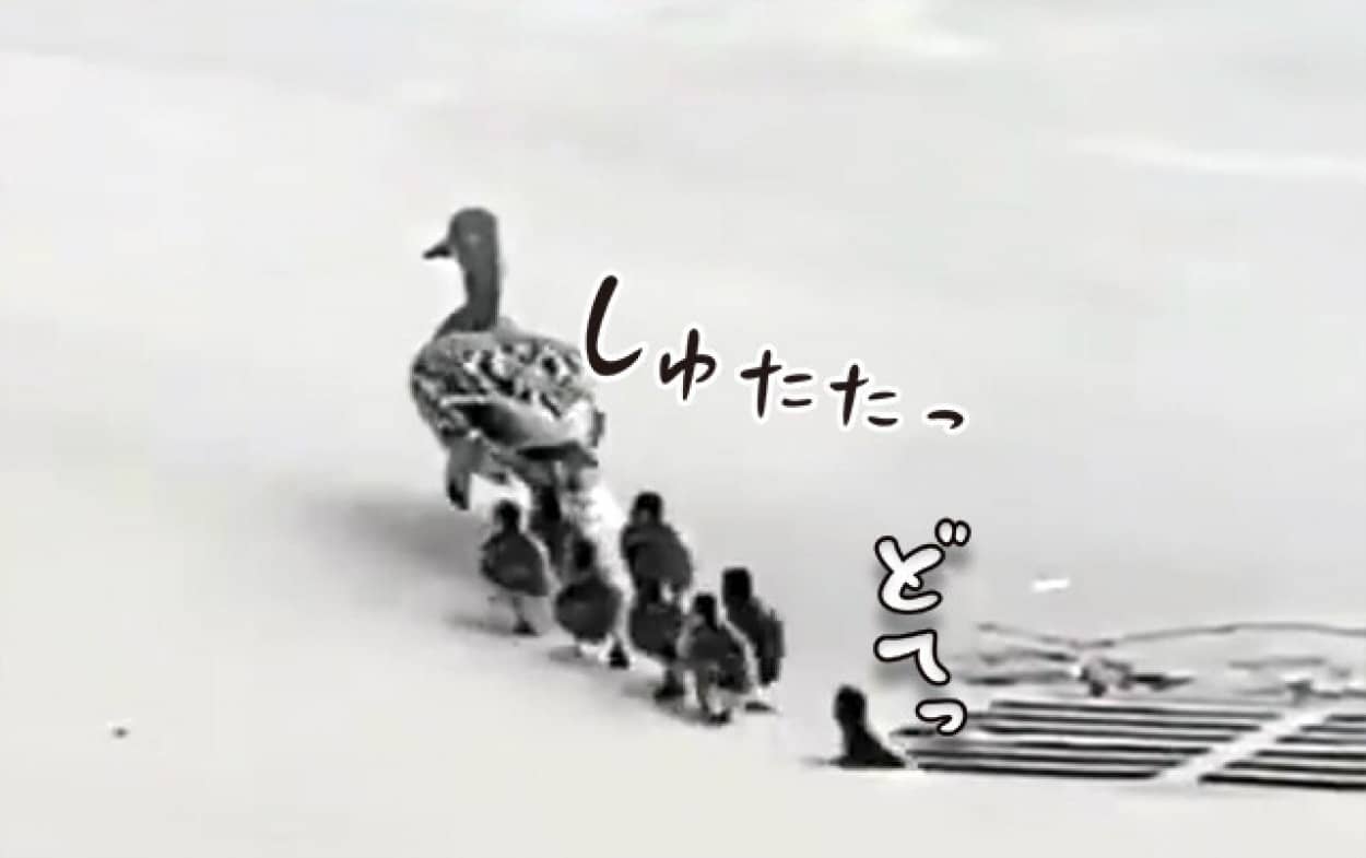 お おかあさん 排水溝に次から次へと子供たちが転落 そして全員いなくなった 21年6月26日 エキサイトニュース