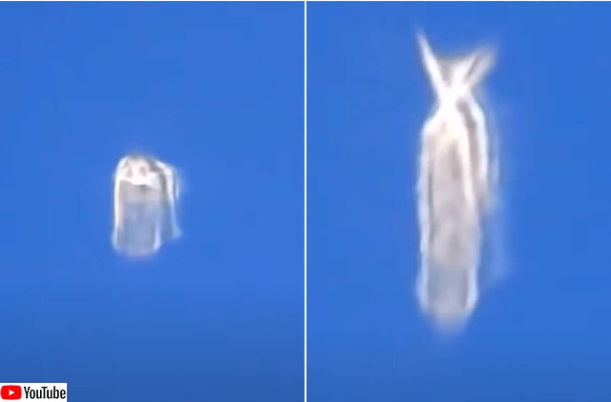 飛行機の窓からとらえた 変形する謎の白い物体 21年8月1日 エキサイトニュース