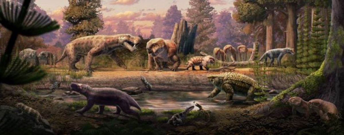 アフリカで発見された新たな化石が、地球最大のペルム紀大量絶滅前の