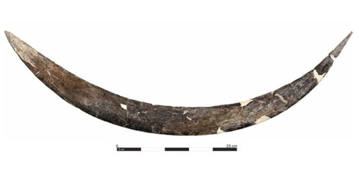 マンモスの牙で作られた4万年前のブーメラン、知られている中で世界最 