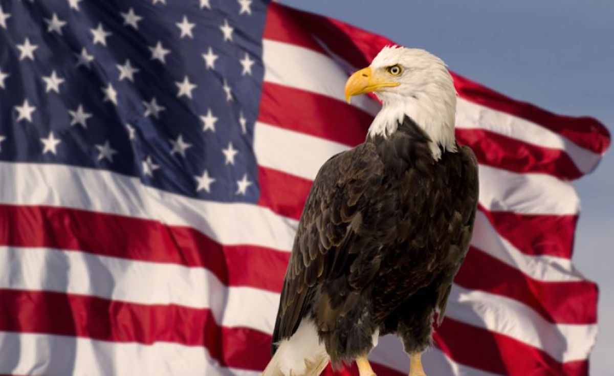 むしろ公式じゃなかったことにびっくり！ハクトウワシがアメリカの国鳥 