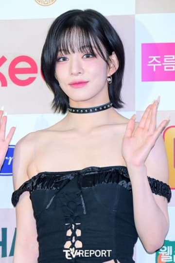 fromis_9 チェヨン アクスタ fromis_9 約束会 アクリルスタンド