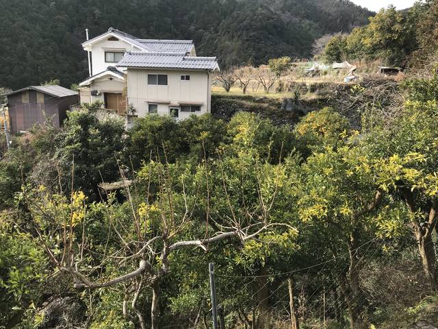 京都ランチめぐり 京の奥座敷 柚子の里 水尾で柚子風呂 鍋料理 柚子づくし小旅行 まる源 年1月8日 エキサイトニュース