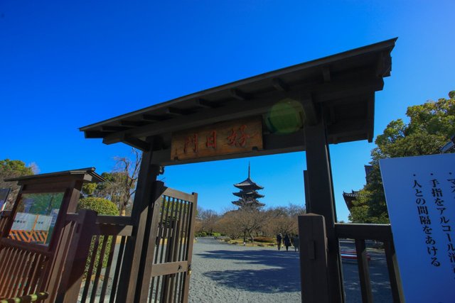 京都桜21 美しき東寺五重塔と河津桜のコラボ 京都花めぐり 21年3月16日 エキサイトニュース