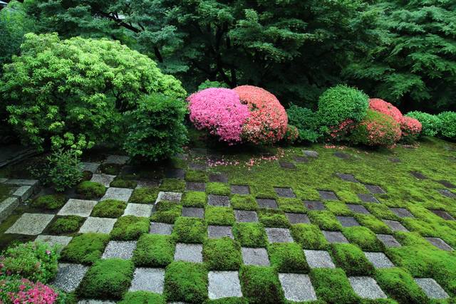 東福寺 かわいいハート皐月に癒される フォトジェニック 19年5月22日 エキサイトニュース