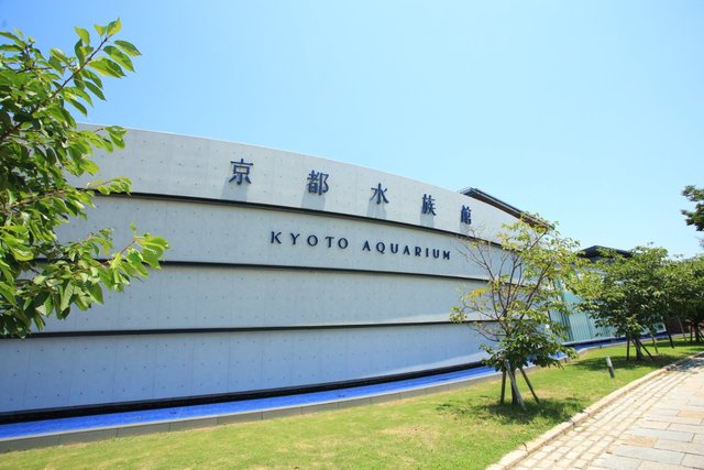 京都 家族で デートで 涼しい 京都水族館 で楽しもう 夏休み 21年8月3日 エキサイトニュース