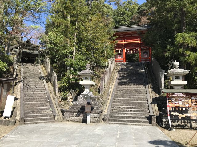 京都珍狛 ネコ好き必訪 日本唯一の狛猫 しかも子猫同伴 金刀比羅神社 21年4月13日 エキサイトニュース