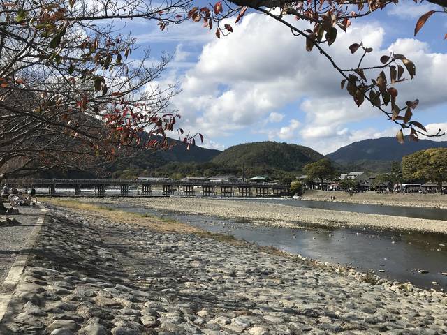 京都ポタリング 自転車で秋の名所めぐり 桂川ｃｒで紅葉スポット嵐山 松尾大社 石清水八幡宮 19年11月23日 エキサイトニュース