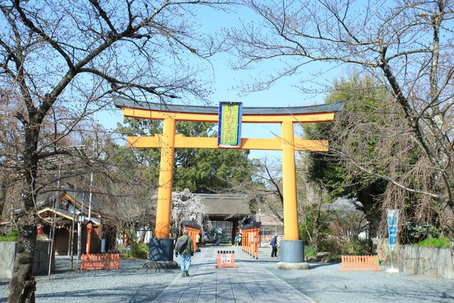 京都桜21 早咲きの桜が咲き誇る 平野神社 京都御苑 上品蓮台寺 京都花めぐり 21年3月21日 エキサイトニュース