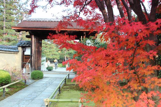 19紅葉 特別公開 貴重な文化財と真紅の紅葉に癒される 大徳寺 塔頭興臨院 こうりんいん 19年11月7日 エキサイトニュース